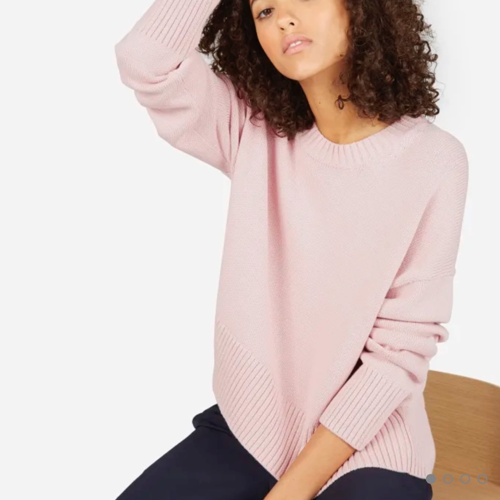 Everlane chunky knit sweater